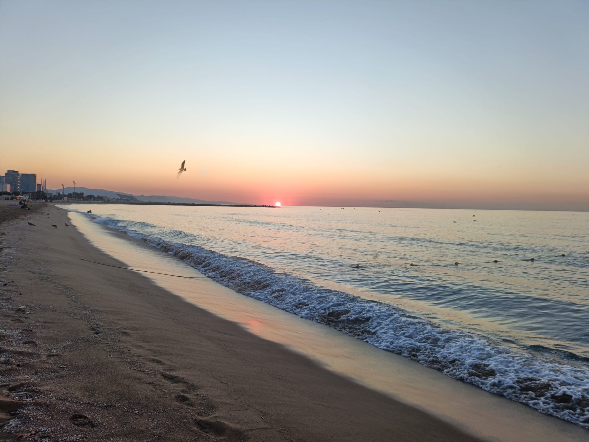 D’on neix Ser&nbsp;Endins